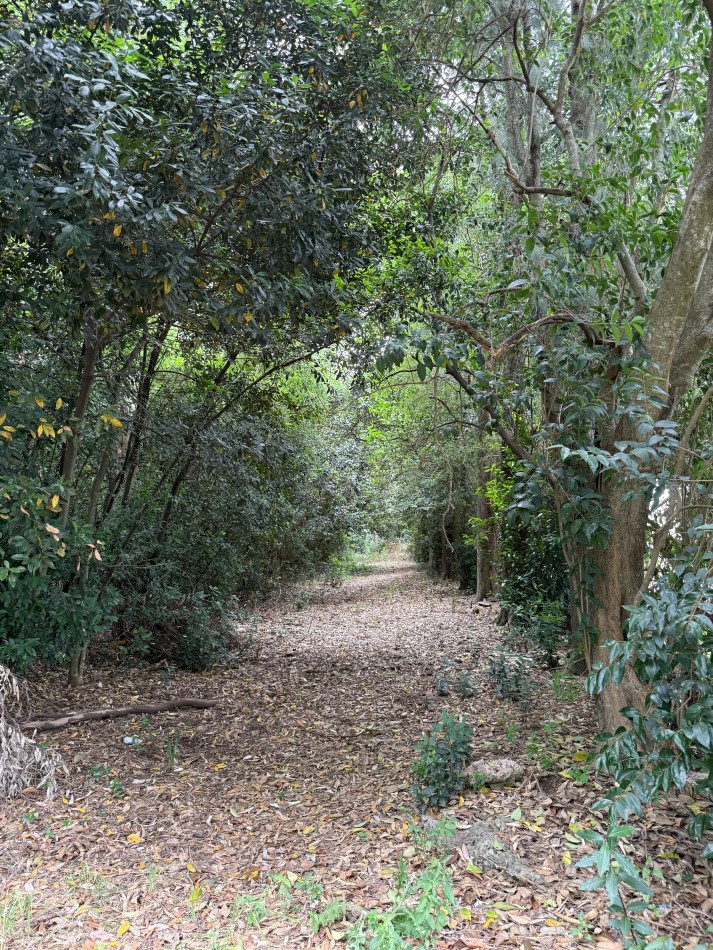 Casa Quinta en Venta - 2,76 Ha - Pileta Climatizada - Apto Desarrollo - Abasto / San Carlos