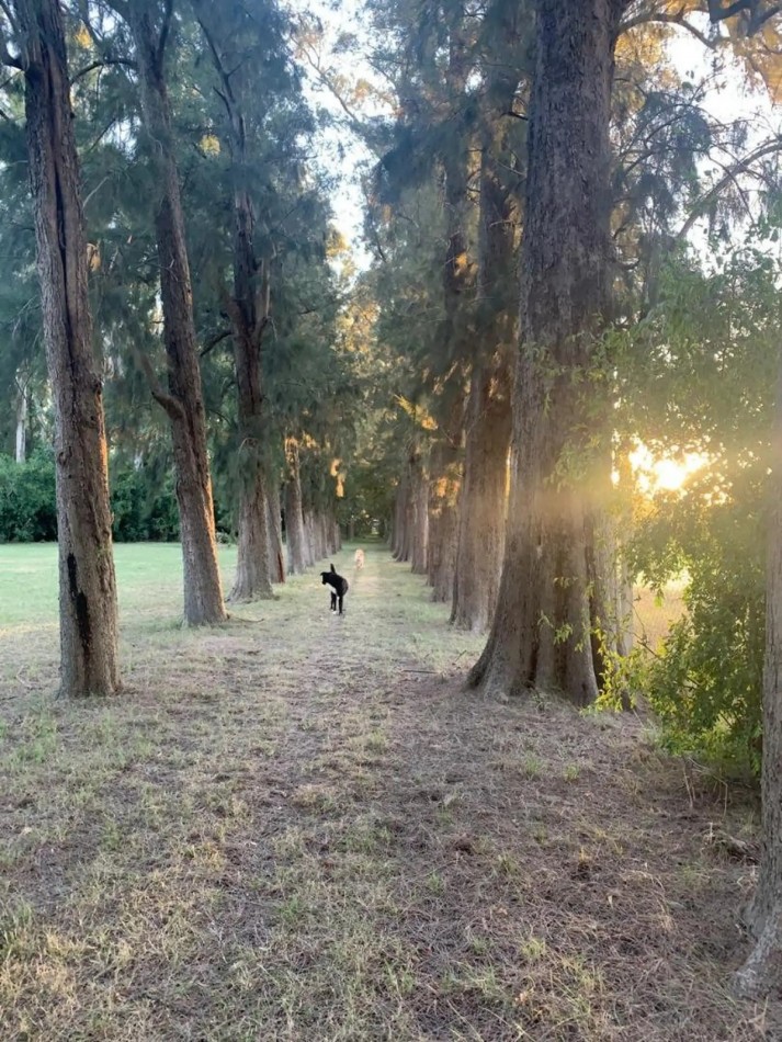 Casa Quinta en Venta - 2,76 Ha - Pileta Climatizada - Apto Desarrollo - Abasto / San Carlos