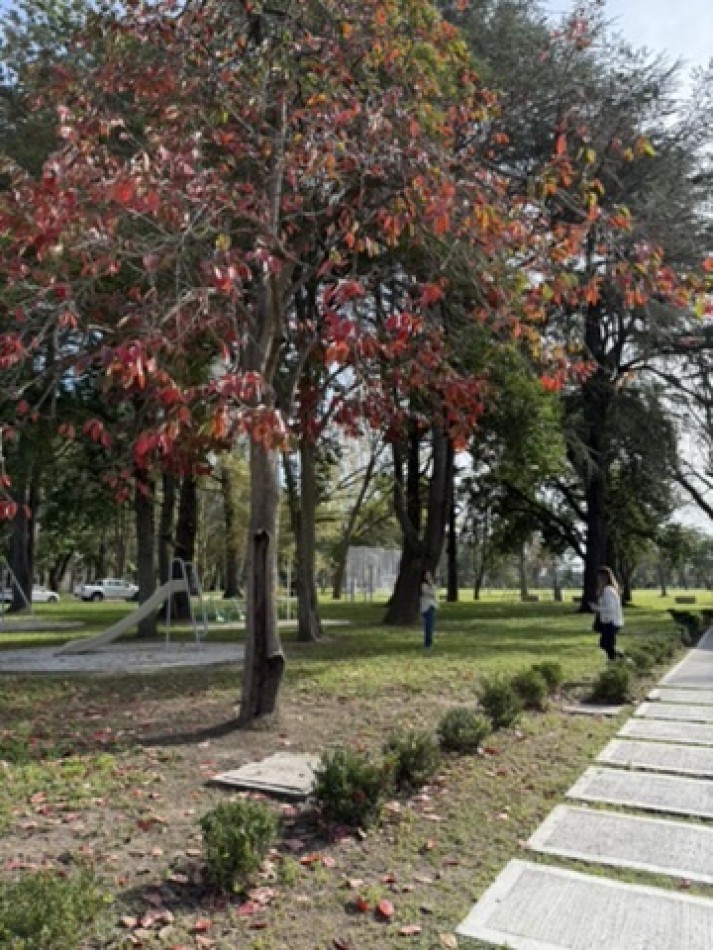 Lote en barrio los cedros