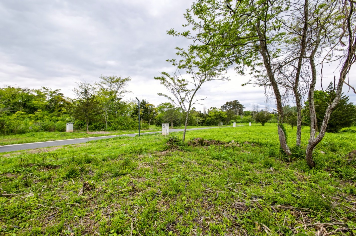Reservas Fincas · Hudson | Lote interno de 742 m² con fondo libre al bosque