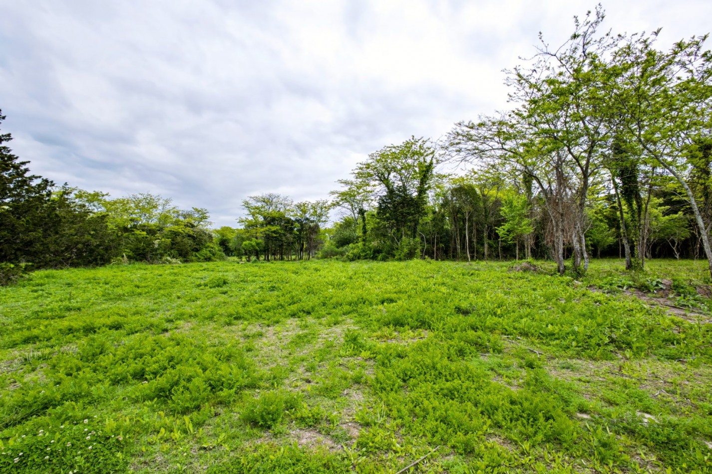 Reservas Fincas · Hudson | Lote interno de 742 m² con fondo libre al bosque