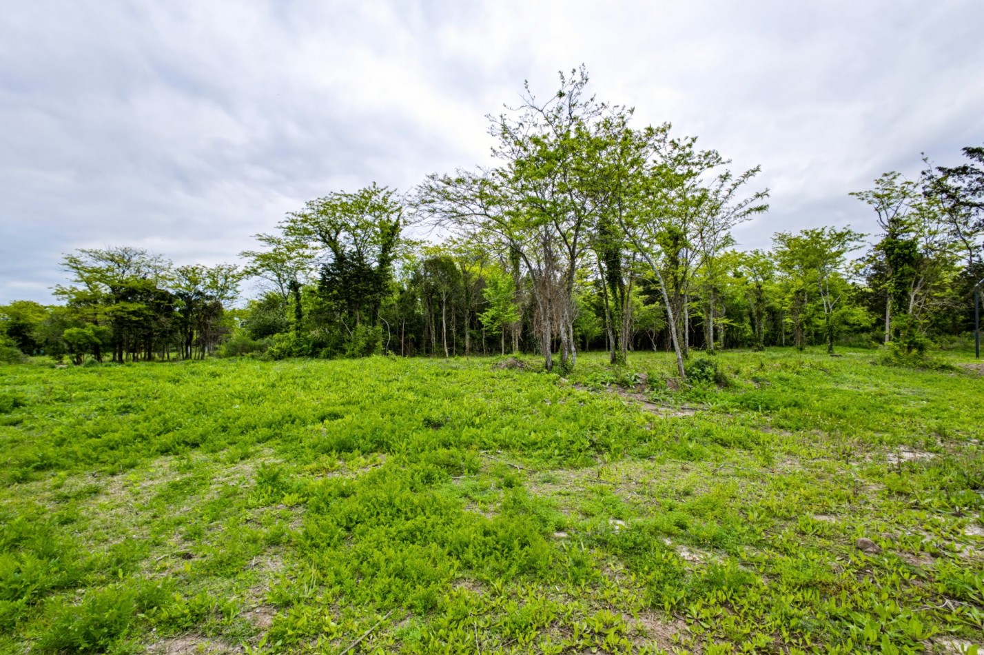 Reservas Fincas · Hudson | Lote interno de 742 m² con fondo libre al bosque
